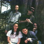 Perl Jam - List pictures