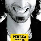 Pereza - List pictures