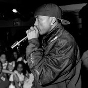 Cassidy - List pictures