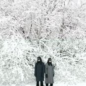 The Knife - List pictures