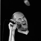 Fish - List pictures