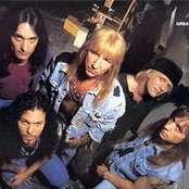 Great White - List pictures