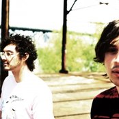 Painted Palms - List pictures