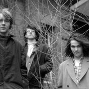 Sebadoh - List pictures