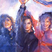 Flans - List pictures