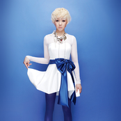 Fat Cat - List pictures