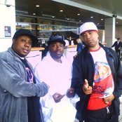 Screwball - List pictures