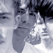 Chameleons - List pictures