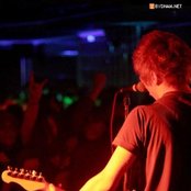 Papaya - List pictures