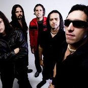 Viper - List pictures