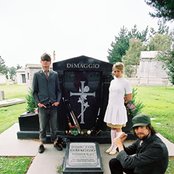 Coachwhips - List pictures