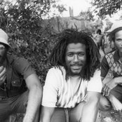 Congos - List pictures