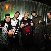 Charlie Brown Jr - List pictures