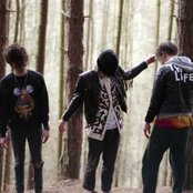 Is Tropical - List pictures