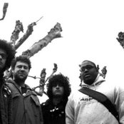 De Facto - List pictures