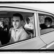 The Dingees - List pictures