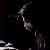 Prince - List pictures