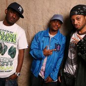 Tanya Morgan - List pictures