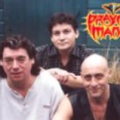 Praying Mantis - List pictures