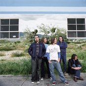 Finch - List pictures