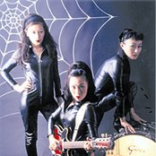 5.6.7.8's - List pictures