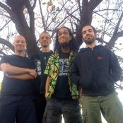 Bad Acid Trip - List pictures