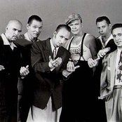 Royal Crown Revue - List pictures