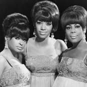 The Marvelettes - List pictures