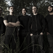 Fallujah - List pictures