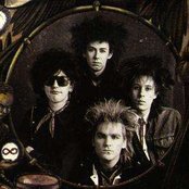 The Alarm - List pictures