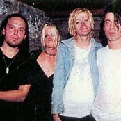 Verbena - List pictures