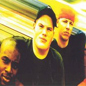 House Of Krazees - List pictures