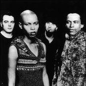 Skunk Anansie - List pictures