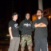 Eclosion - List pictures