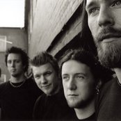 Within Y - List pictures