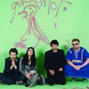 Guillemots - List pictures