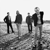 Blue Merle - List pictures