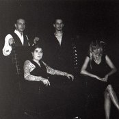 The Garden - List pictures