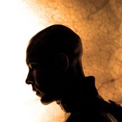 Dive - List pictures