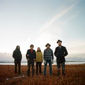 Vetiver - List pictures