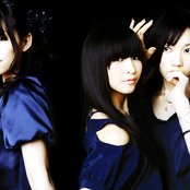 Perfume - List pictures