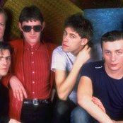 Boomtown Rats - List pictures