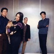 The Magnetic Fields - List pictures
