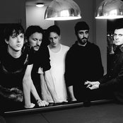 Wild Palms - List pictures