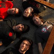 Grim Skunk - List pictures