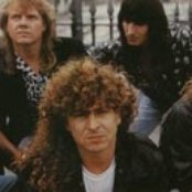 Boss - List pictures