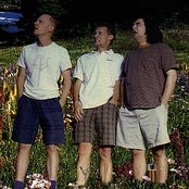 Presidents Of The Usa - List pictures