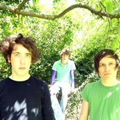 Wombats - List pictures