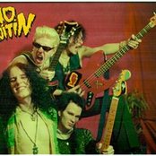 Tehosekoitin - List pictures