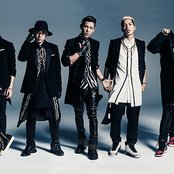 Doberman Infinity - List pictures